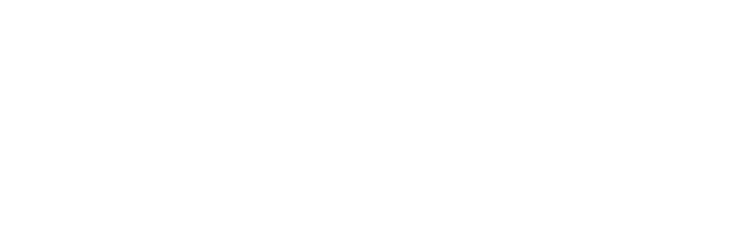 RM PROMOTORA
